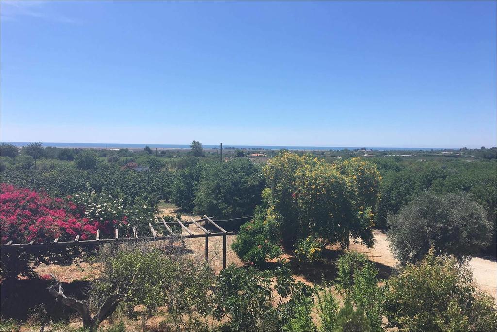 فندق Quinta Rosa Branca تافيرا المظهر الخارجي الصورة
